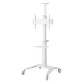 Stojak mobilny Techly 37''-70'', 70kg 2 półki