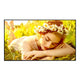 Monitor LG 75" 75UL5Q-M Digital Signage 4K UHD (24/7)