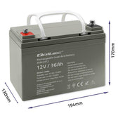 Akumulator AGM Qoltec 12V | 36Ah | max.540A