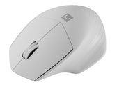 Mysz bezprzewodowa Natec Siskin 2 optyczna 1600 DPI BT 5.0 + 2.4 GHz z cichym klikiem biała
