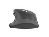 Mysz bezprzewodowa Natec Falcon optyczna 2.4GHz + BT 5.0 3200 DPI czarna