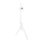 Uchwyt podłogowy do TV stojak Maclean MC-181 WB, 27-55", max. VESA 200x200, max. 60kg