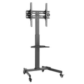 Stojak mobilny Techly 32"-55", 35kg, z półką