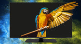 Telewizor GoGEN TVF32M340STWEB 32”