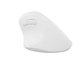 Mysz bezprzewodowa Natec Crake 2 Bluetooth 5.2 + 2.4GHz 2400DPI wertykalna biała