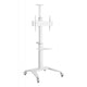 Stojak mobilny Techly 37''-70'', 70kg 2 półki