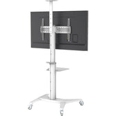 Stojak mobilny Techly 37''-70'', 70kg 2 półki