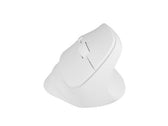 Mysz bezprzewodowa Natec Crake 2 Bluetooth 5.2 + 2.4GHz 2400DPI wertykalna biała