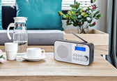 Radio DAB+/FM GoGEN - DAB300N