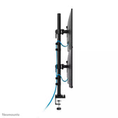 Uchwyt biurkowy na dwa monitory Neomounts DS60-600BL2V 10"-32" max. 2x9kg max. VESA 100x100