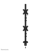 Uchwyt biurkowy na dwa monitory Neomounts DS60-600BL2V 10"-32" max. 2x9kg max. VESA 100x100