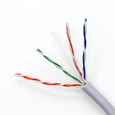 Kabel sieciowy Qoltec skrętka UTP | CAT6 | 305m | PCV szary