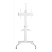 Stojak mobilny Techly 37''-70'', 70kg 2 półki