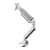Uchwyt biurkowy do monitora Neomounts DS70PLUS-450WH1 17"-49" max. 18kg max. VESA 100x100