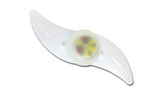 Lampka LED rowerowa Esperanza ASTERION EOT006 szprychowa
