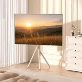 Uchwyt podłogowy do TV stojak Maclean MC-182 B, 37-80", max. VESA 600x400, max. 60kg