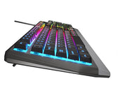 Klawiatura przewodowa Genesis Rhod 300 RGB Gaming czarna