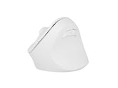 Mysz bezprzewodowa Natec Crake 2 Bluetooth 5.2 + 2.4GHz 2400DPI wertykalna biała