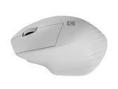 Mysz bezprzewodowa Natec Siskin 2 optyczna 1600 DPI BT 5.0 + 2.4 GHz z cichym klikiem biała