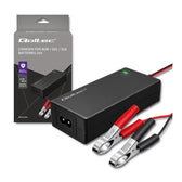 Ładowarka Qoltec do AGM GEL STD | Prostownik 24V 2A 48W