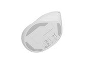 Mysz bezprzewodowa Natec Crake 2 Bluetooth 5.2 + 2.4GHz 2400DPI wertykalna biała